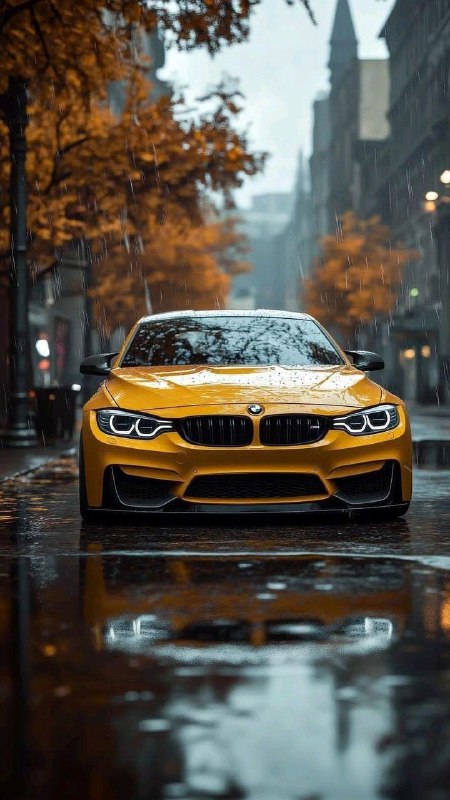BMW M Powerhttps://t.me/bmw_mpower_club#bmw #mpower #bmwmpower #bmwworld #bmwmpo