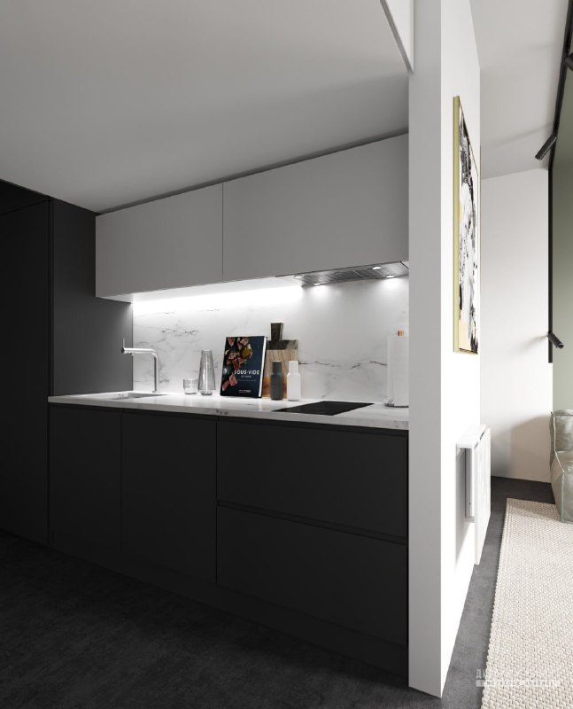 Квартира - студия 23 м в для молодой пары Помимо общих задач к жилью, требовалась рабочая зона для двоих без доступа прямого света. Высота потолка ... - изображение 1 - дизайн, квартира, студия