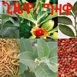 መርጌታ የባህል ህክምና