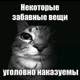 Щитпостинг на 100%