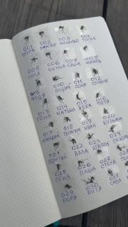 Дачный юмор с утра пораньше Всем хорошего начала недели и отличного настроения - изображение 1 - дачный, юмор, утра