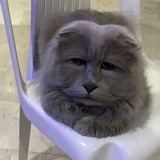 NDA хотер