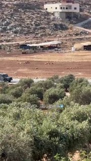 الاحتلال يقتحم قرية المغير شمال رام الله