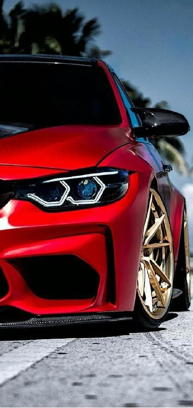 BMW M Powerhttps://t.me/bmw_mpower_club#bmw #mpower #bmwmpower #bmwworld #bmwmpo