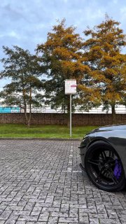 BMW M Powerhttps://t.me/bmw_mpower_club#bmw #mpower #bmwmpower #bmwworld #bmwmpo