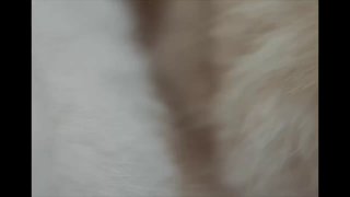 Omoda использует «запрещённый приём» для продвижения в ЕвропеOmoda 7 вышел на ры