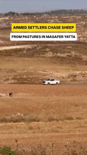 🇮🇱🇵🇸 - מתנחלים-חיילים יהודים רודפים כבשים מהמרעה בכפר גוווין, מספר יטא, דרומית לחברון.