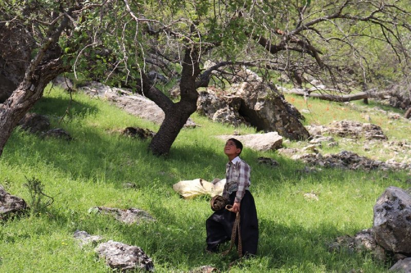 خبرگزاری ایرنا: نازول نماینده ایران در جشنواره فیلم هرتسگ نوی 🔹مستند «نازول» به نویسندگی و کارگردانی یوسف قناتی، نماینده سینمای ایران در
