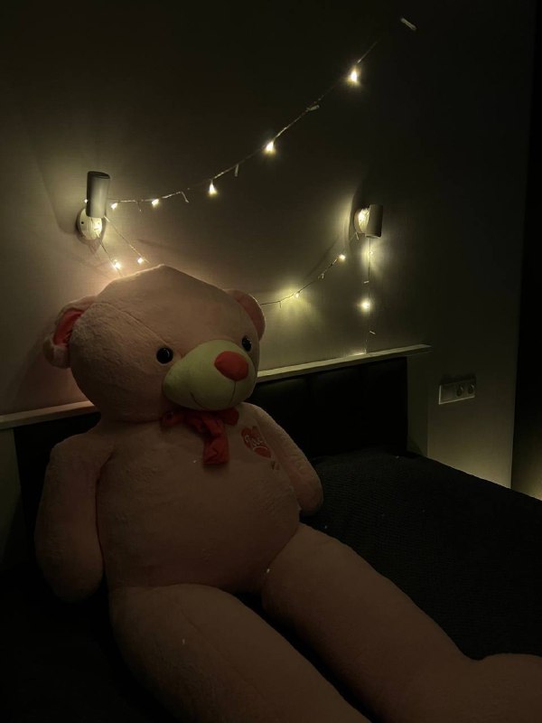 Розовый медведь — фото 1