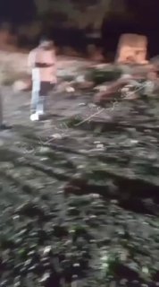 צה"ל תקף אווירית בברעשית שבדרום לבנון