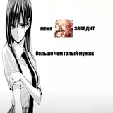 Бредни сумасшедшего пискуна [щп]