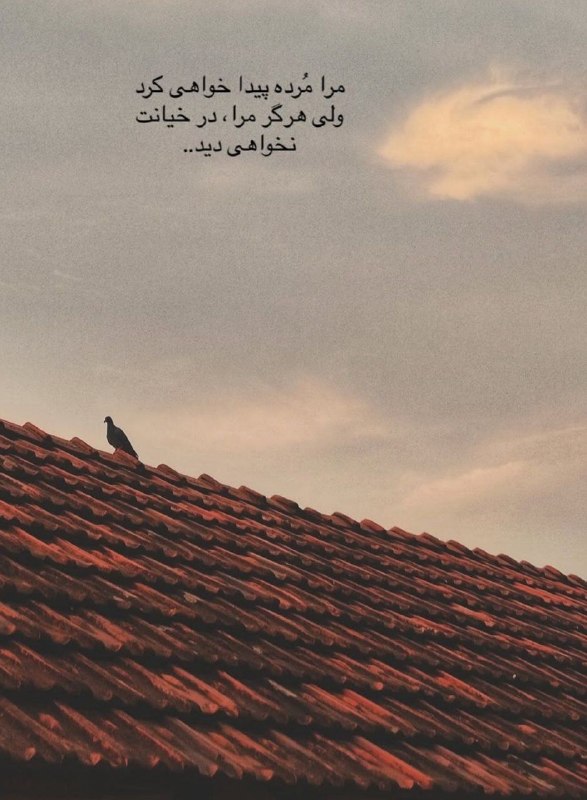 👑 شهر عکس 👑: 💜 @shahreeaks 💜
