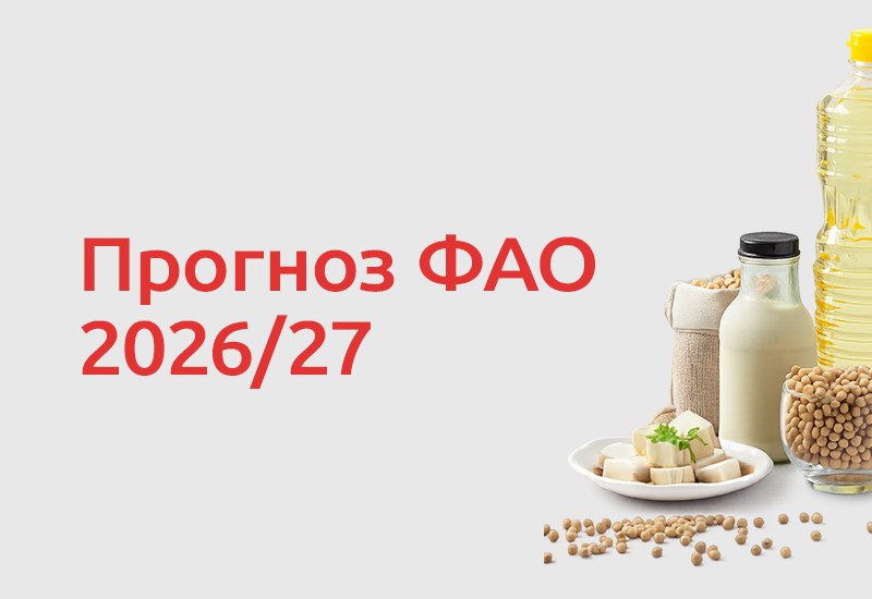 ФАО опубликовала новый прогноз мировых продовольственных рынков на сезон 2026/27. После рекордного урожая зерновых ожидается…