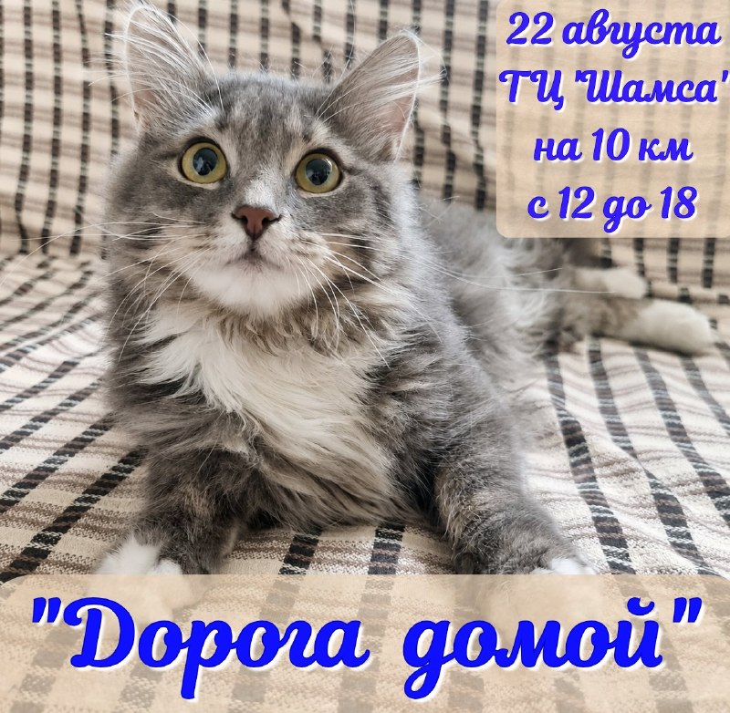 Сегодня в ТЦ "Шамса" на 10 км состоится...