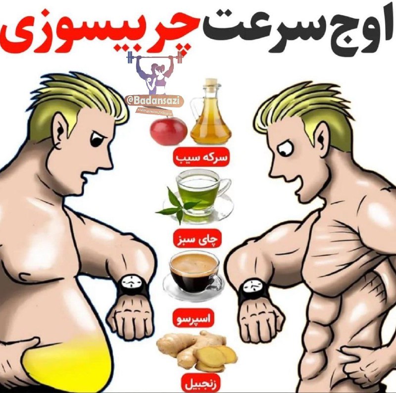 🖤قاف عشق🖤: 🔹 چهار شتاب دهنده‌ی چربی‌سوزی 🔥‌
