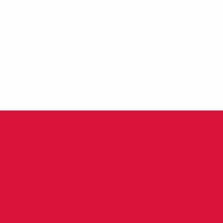 Polish university students from Uzbekistan Telegram Group Link