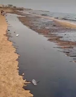 🚨 זיהום נפט בחופי קשם&33;