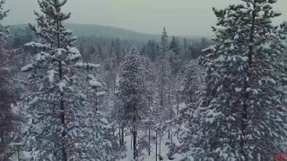 Логика будущего