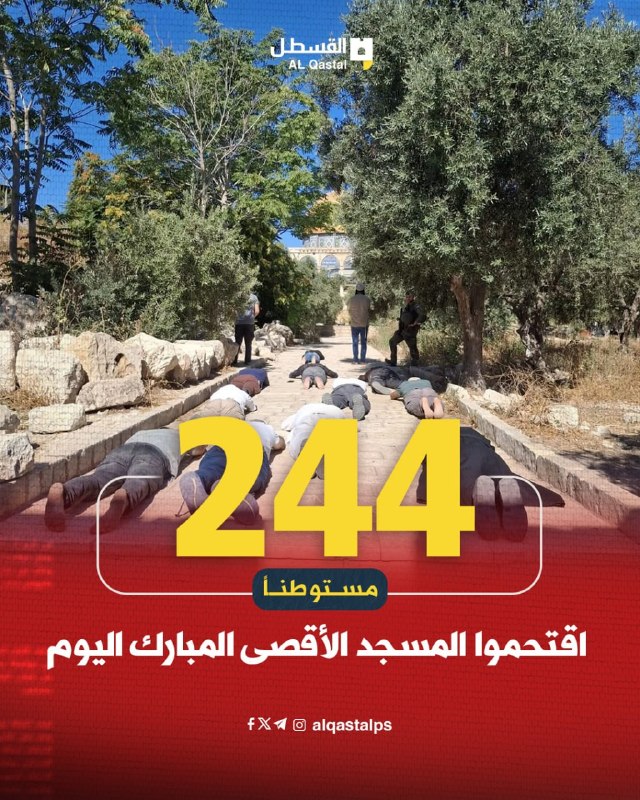 مستوطنون يعتدون على فلسطينيين تحت حماية الاحتلال