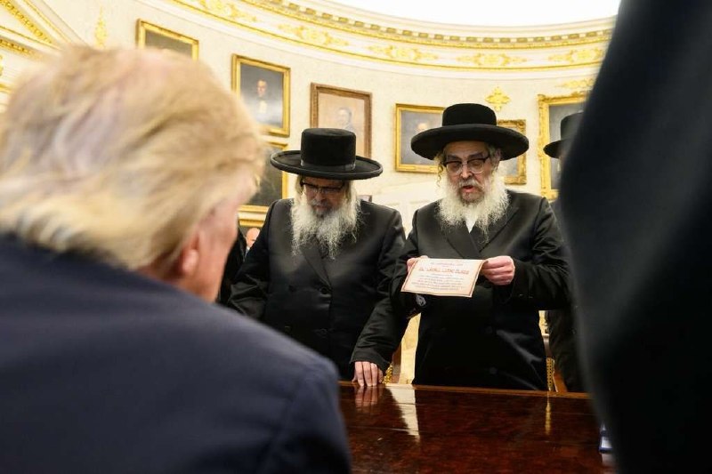 אלי הירשמן