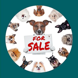 ЩЕНКИ/PUPPIES/SALE Telegram Group Link