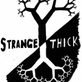 𝕊TR*NGE 𝕋HICK