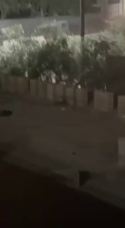 היבט נוסף של כוחות הכיבוש המסתערים על העיירה אל-ג'דידה, מדרום לג'נין