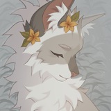 🌻Katsu 🌱