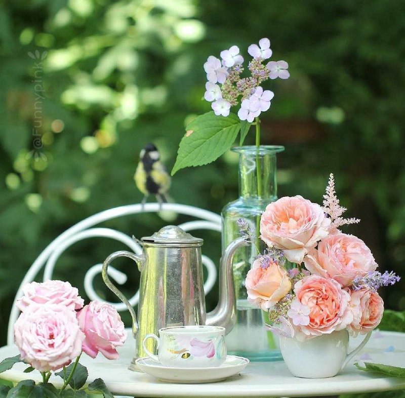 حس خوب: آغاز یک هفته خوب 🕊🌸با سـلامی پر از حسِ خـوب زنـدگی🕊🌸 ســــ😊✋ــــلامصبـح‌ اول هفته تـون بـخیر 🕊🌸و زندگی‌ تون سـرشـار از ل