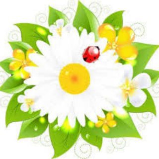Telegram profile photo for Советы народной медицины