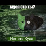 Канал Кусика 👀