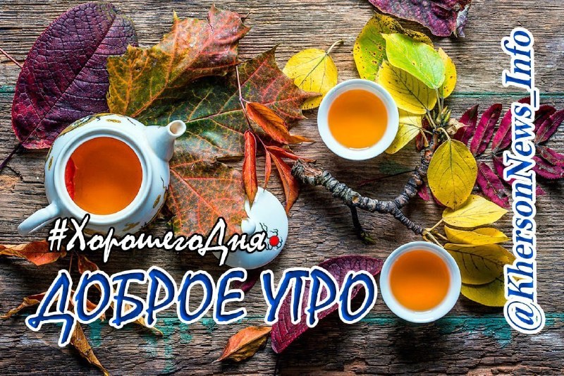 בוקר טוב חברים! יום ראשון, במיוחד אם זה יום חופש, הוא אירוע נפלא בפני עצמו. יהי רצון שבוקר יום ראשון שלך יה…