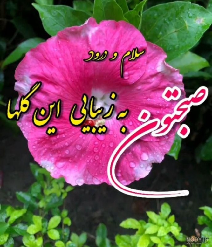 ایلام خبر( اخبار رسمی ایلام): رسانه پست