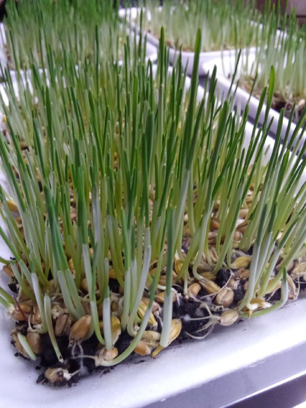 Здравствуйте!