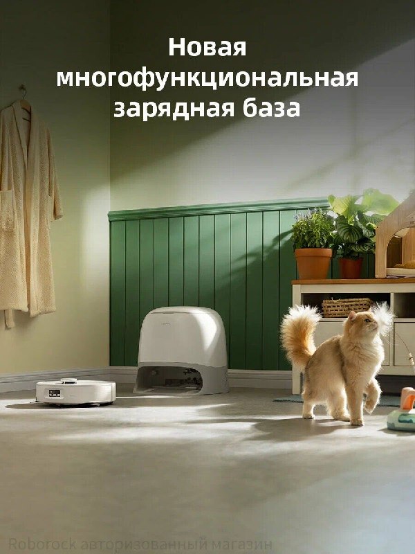 Представляете полы всегда чистые, а вы в это время пьёте кофе, читаете книгу или занимаетесь любимыми делами! Робот-пылесос это тот помощник, котор... - изображение 2 - станция, roborock, уборка