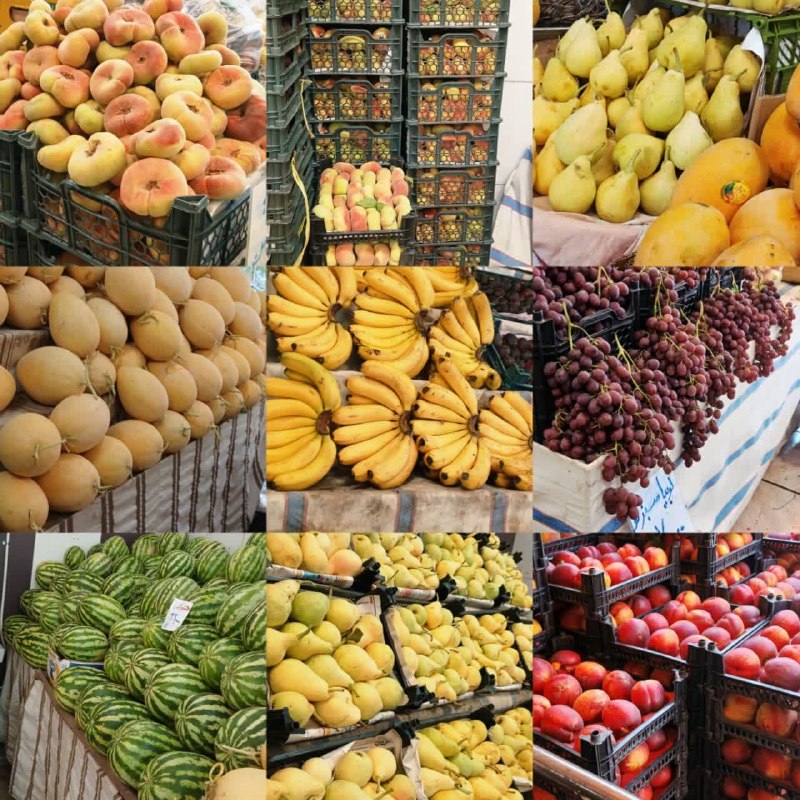 باغ نو: ❇️🔴🔸میوه سرای سادات 👇🍑هلو زعفرانی ۱۲۰ تومن هسته جدا 🍑هلو انجیری اعلا ۱۶۰ و ۱۰۰🍌موز خارجی ۲۲۰ تومن 🍈شلیل ۱۳۰ سبدی تک رگ🍉ه