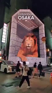 3D billboard in Dotonbori, OsakaDid you know? 🎓