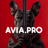 Avia.pro