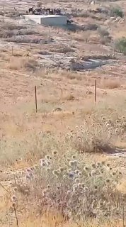 מתנחלים רועים את הפרות שלהם ותופסים בארות מים באזור חאלת אל-חומוס, דרומית ליטא, לאחר שהפנו את השאיבה שלהם כ…