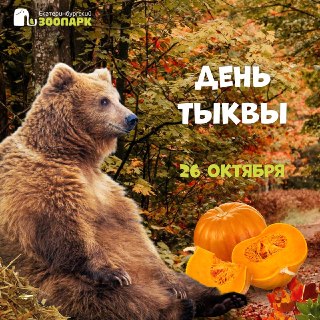 Тыква для пернатых