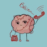 🎬Better Call Brain!