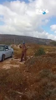 🇮🇱 תיעוד מפחיד מאזור כפר מאליק בבנימין: עשרות אנרכיסטים שחלקם פעילים מוכרים, תקפו רועה צאן ישראל באזור. ח…