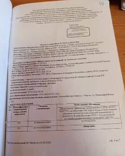 Новосибирские власти впервые подтвердили вспышку ящура среди скотаНовосибирский областной центр ветеринарно-санитарного обеспечения обнаружил ящур у коровы, которая принадлежит фермеру Светлане Паниной из села Новоключи. Документ опубликовало издание SibPu