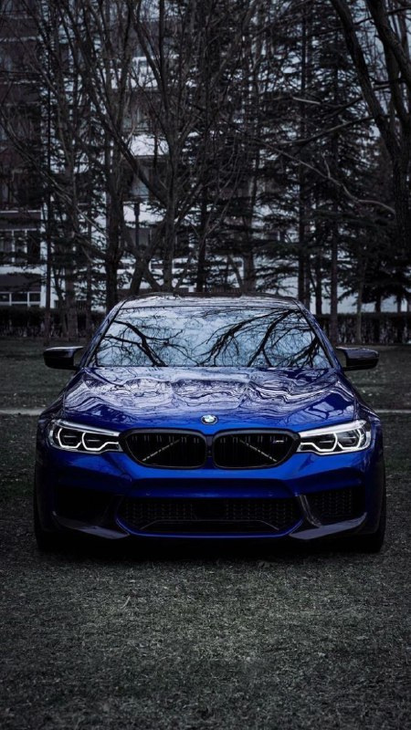 https://t.me/bmw_mpower_club