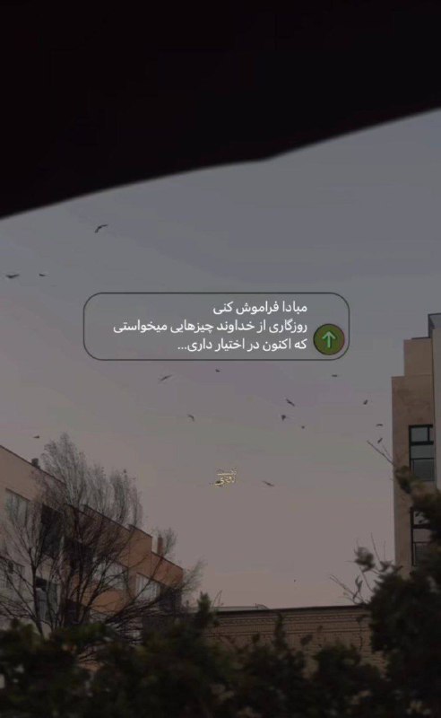 🌺میگون در گذر زمان🌺: مبادا فراموش کنیروزگاری از خداوند چیزهایی میخواستی که اکنون در اختیار داری..."‏یا رَبَّ اِنَّ لَنا فیکَ اَمَلاً طَویلاً 