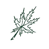 LISTOK