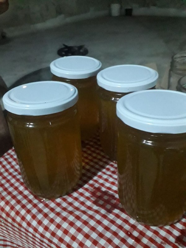 מי שרוצה דבש יראה אותו או דבש נקטף היום