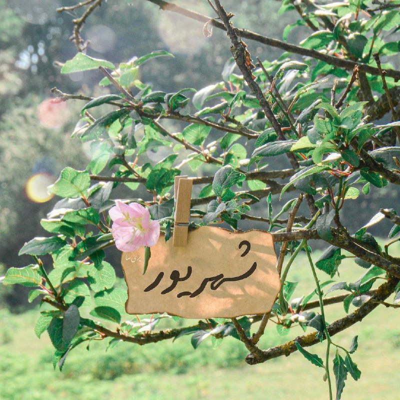 ᯽ 𝘬ꫝꪖ𝓽ꫀ𝘳ꫀ ᯽: 🤍🫧🤍سلام به شهریورکه همچون شاعری بیقرار پای تپه ای در دور دست ها نشستهشاعری که یواشکی چشم دوخته به دروازهای چوبی و فکر