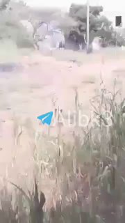 הכוחות התימנים שולטים ומשחררים את אל-קדהא, מגרשים את הכוחות הפרו-סעודיים מהאזור ומתקדמים לעבר האזורים הבאים.