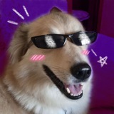 ✧zosyayolka подвальчик✧